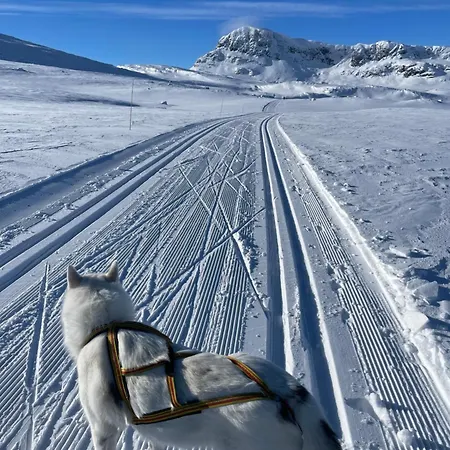 Апартаменты Bright And Modern Penthouse Beitostolen