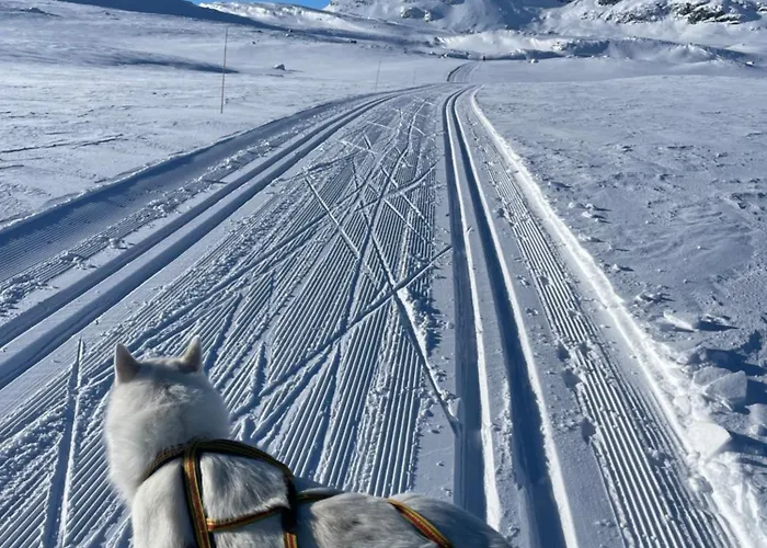 Appartement Bright And Modern Penthouse Beitostolen