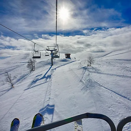 Bright And Modern Penthouse Apartment